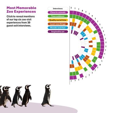 Spectrum Display showing interview codes from 30 visitors who talked about memorable experiences.