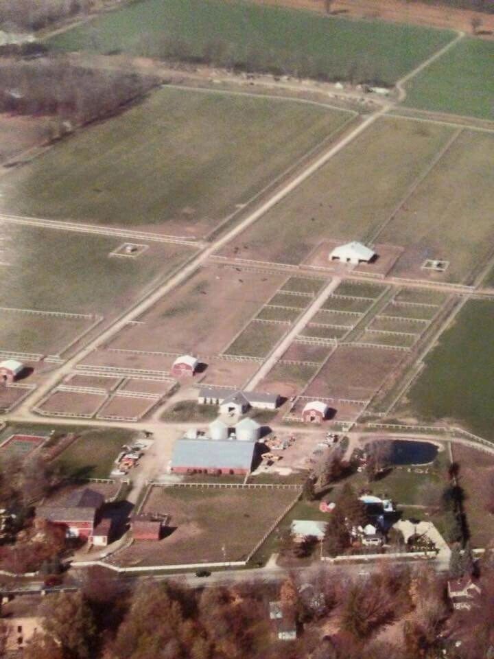 Farmers Market North Ridgeville Local Produce And Animals
