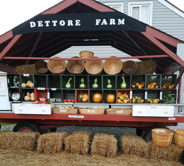 Our Produce and Products North Ridgeville Local Produce And Animals