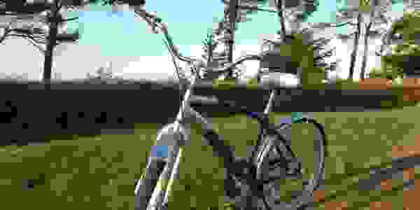 Ask us if you need anything to help make your visit more enjoyable.