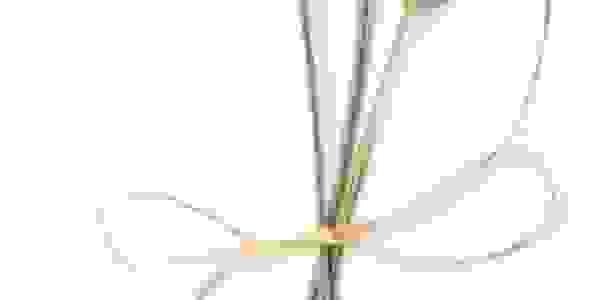 Enjoy your lodging with us here at our bed and breakfast in Sequim, WA near Olympic National Park.