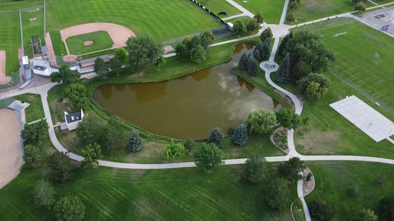 A pond near a baseball field