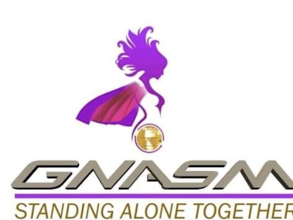 Logo with a purple superhero figure and text 'GNASM'.