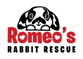 Romeo's Rabbit Rescue