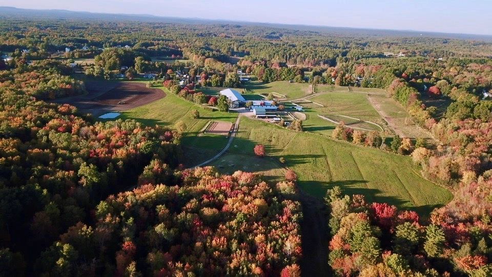 Kingswood of New England Polo & Equestrian