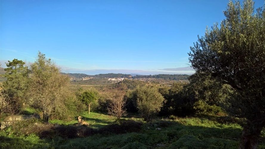 The view from Alan & Iane's place