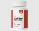 Wellvia GlucoFit