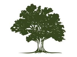 


Lerma's Tree Services