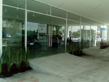 Modern glass entrance with reflections and plants outside.