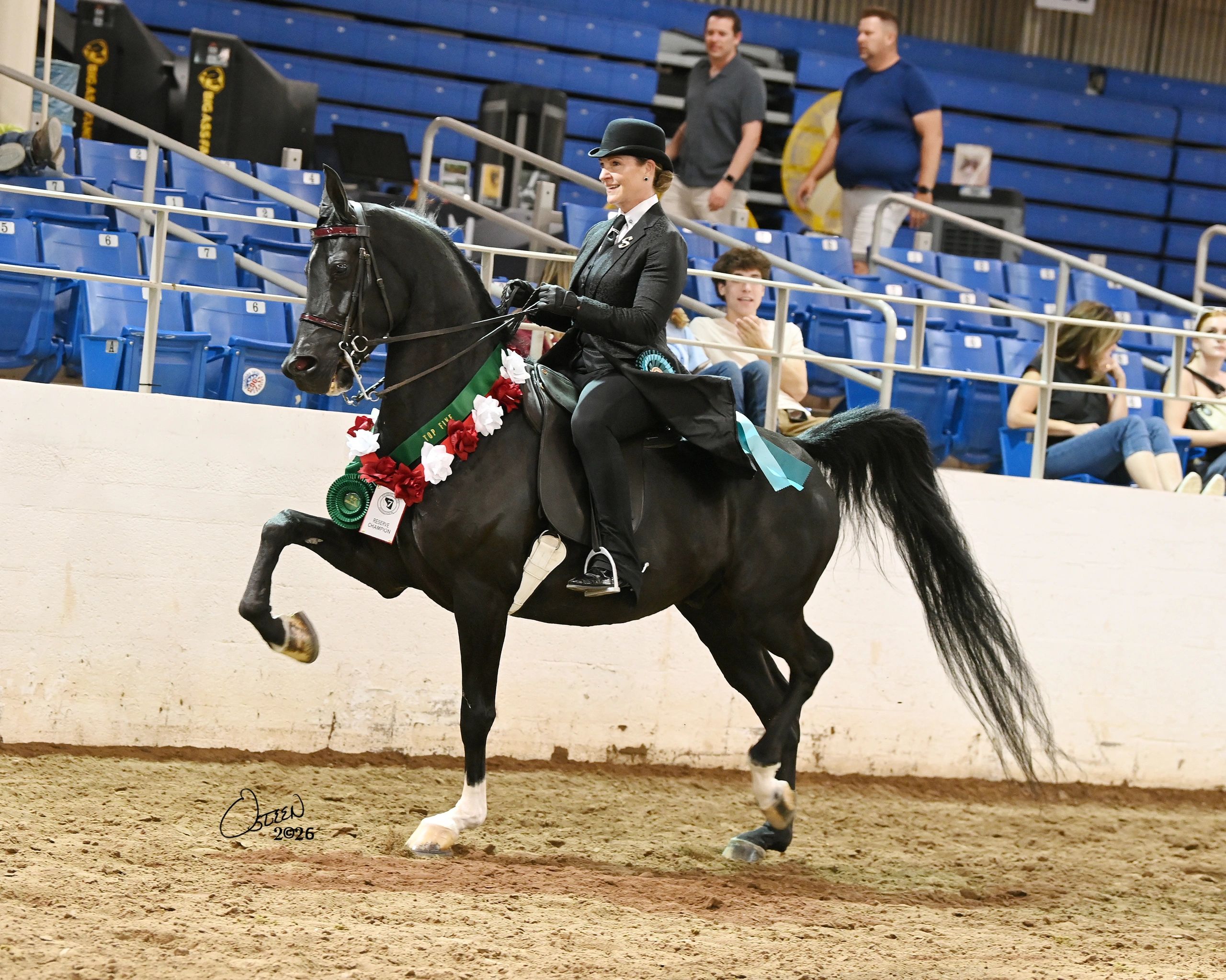 Woman in formal attire riding a black horse with ribbons in an indoor arena.