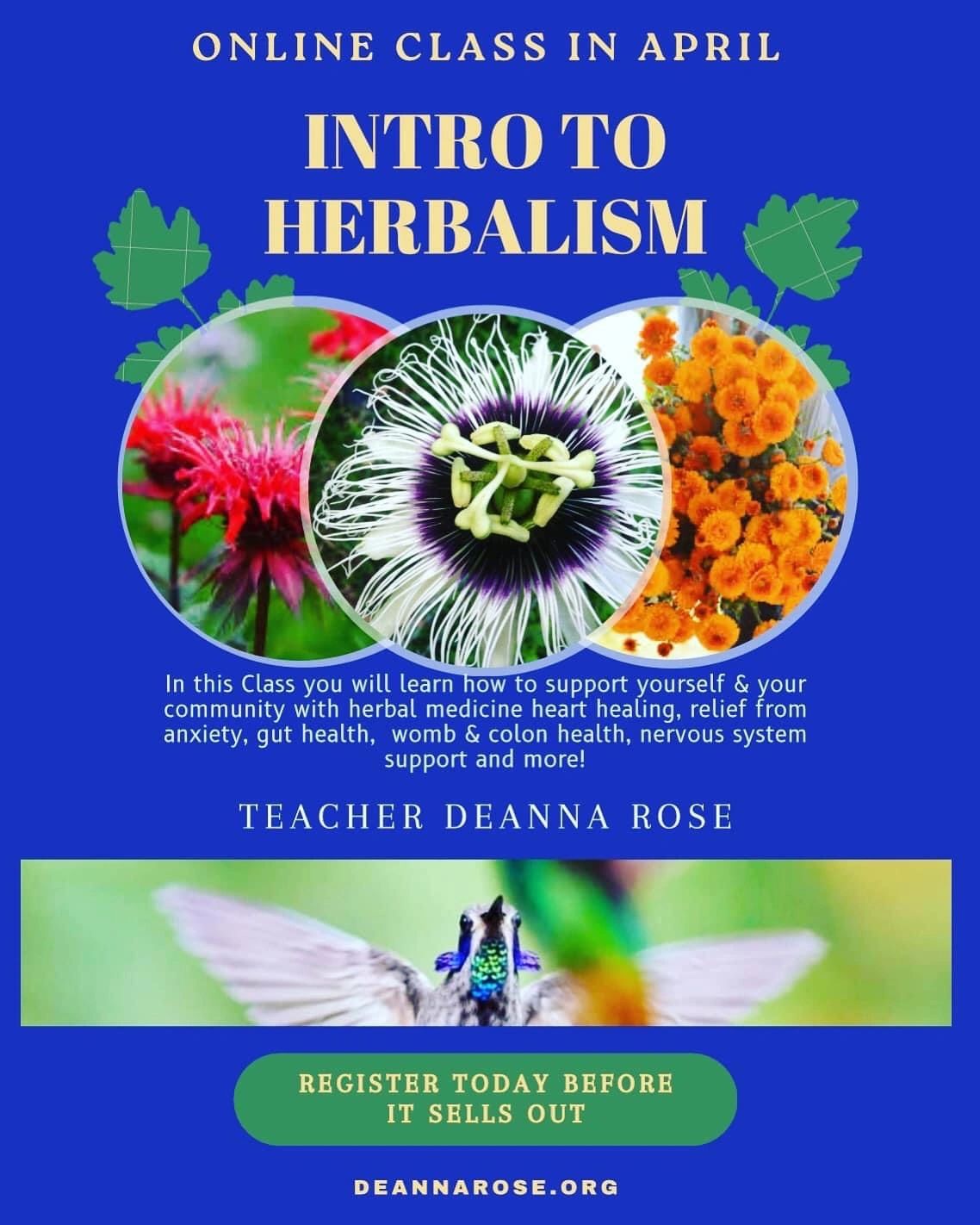 🌹Intro to Herbalism 🌹

Please share to help spread the word about this class 🦋

A four week class