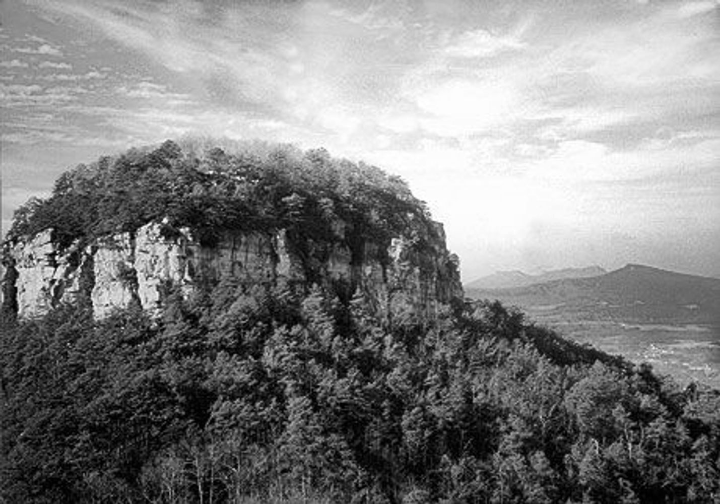 Emily Parker Properties Homes, Zillow Homes for Sale, Houses for Sale