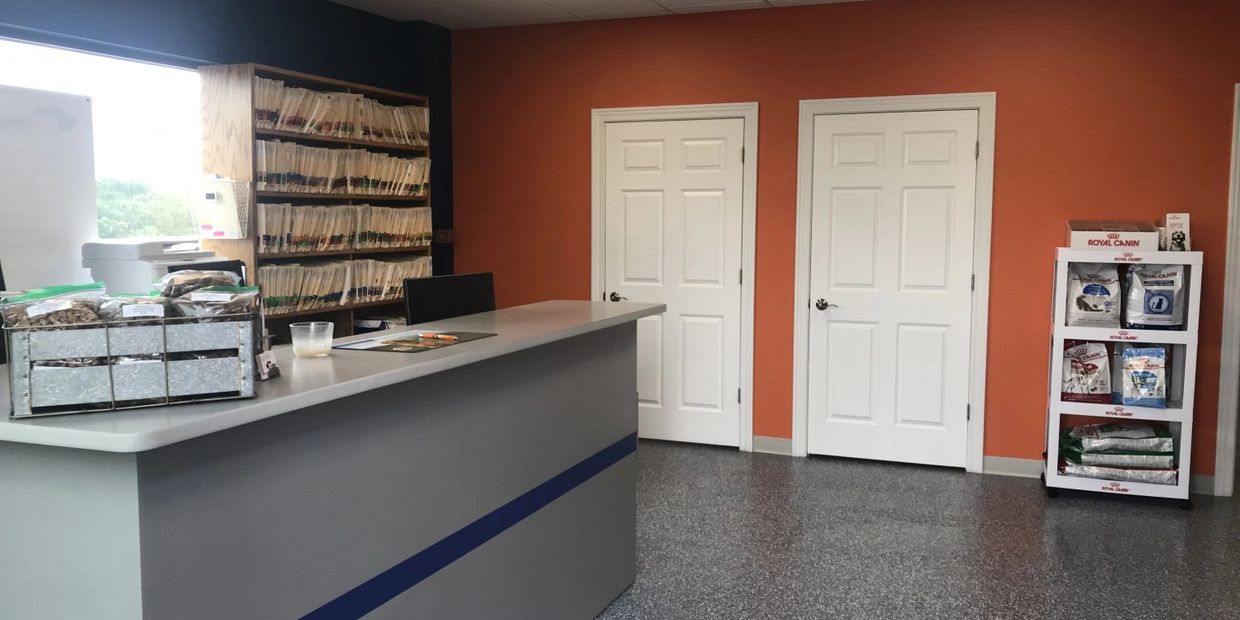 Veterinary clinic lobby with front desk