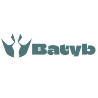 Batyb