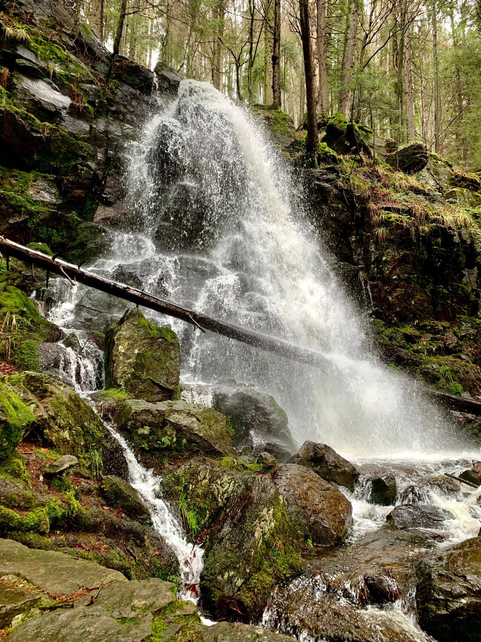 A waterfall in the Black Forest in Germany, humid rock covered by moss during winter. 