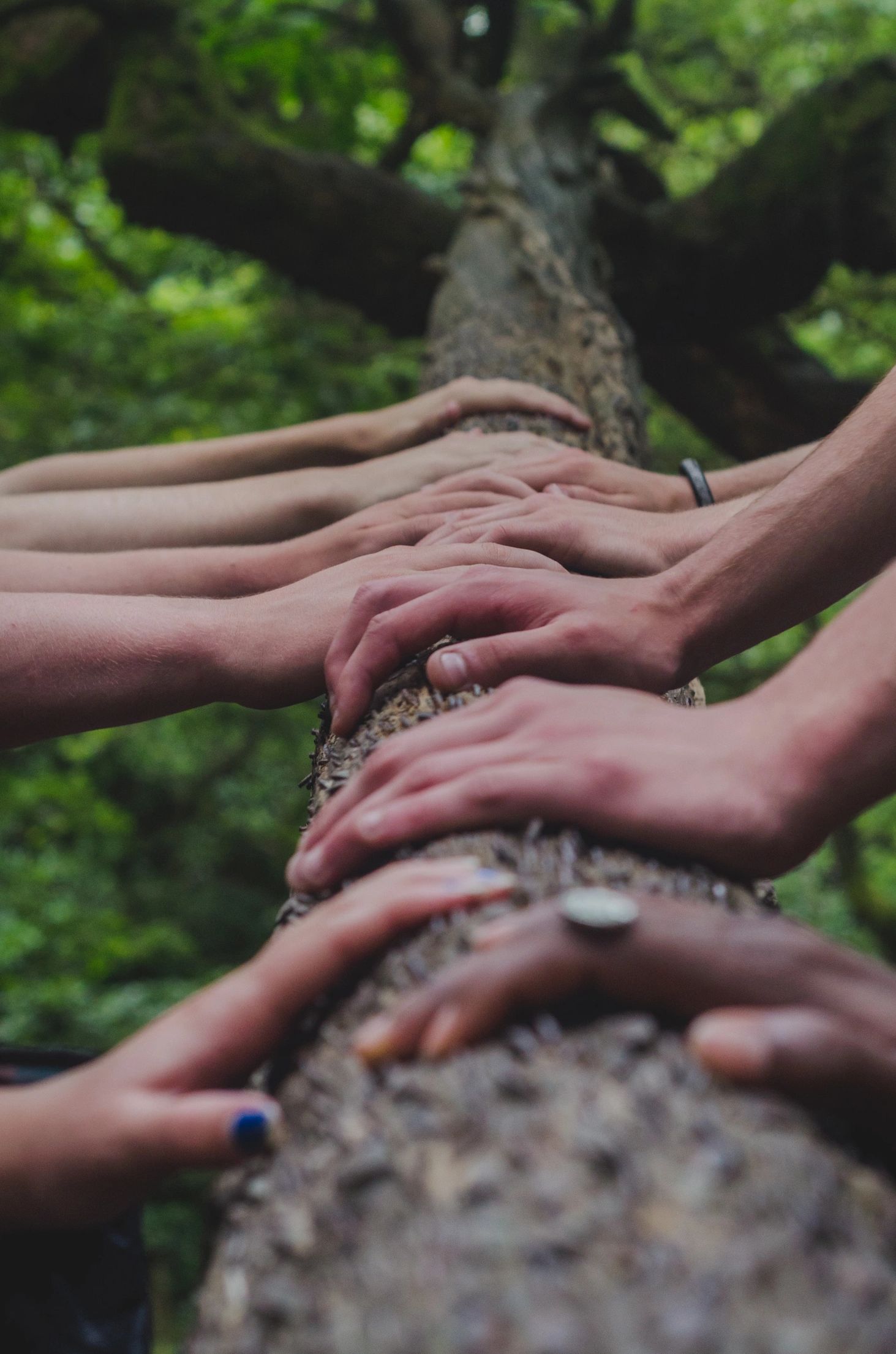 human hands on a fallen trunk in the forest. diverse skin colours. a ring. blue nail