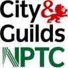 Insured and Professionally Trained City and Guilds