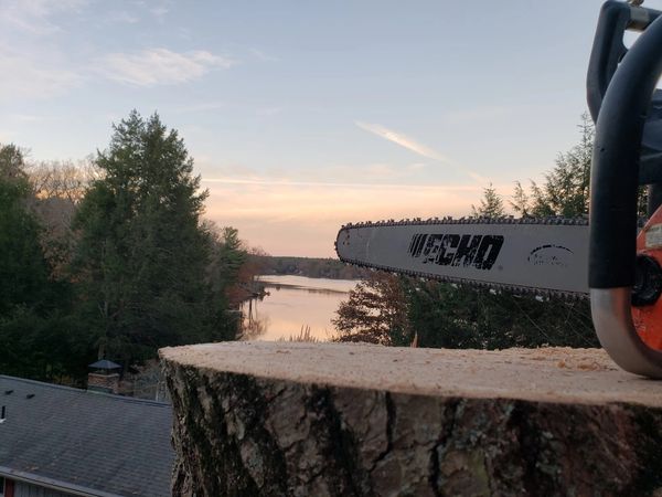 Tree Climbing Removal over lake river sunset Dayville CT