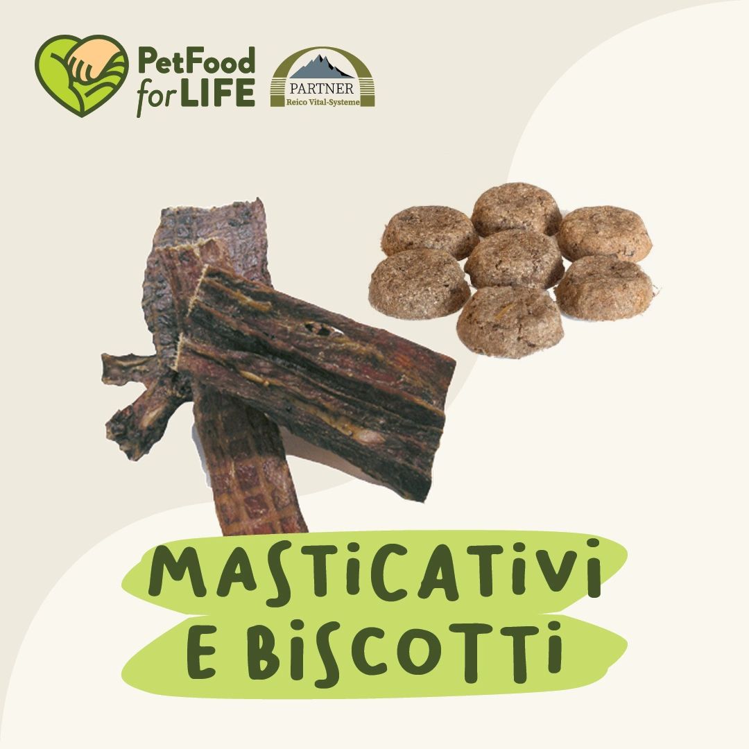 Reico Masticativi e Biscotti