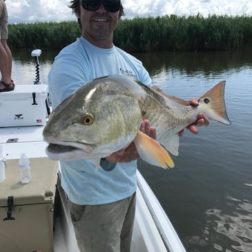 Fishing Redfish, Spottail Bass in Charleston