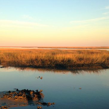 Beautiful Charleston, South Carolina Marsh 