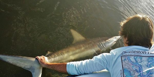 Captain Gates Fishing Shark in Charleston, SC