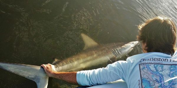 Shark Fishing in the South Carolina Lowcountry