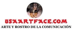 usaartface