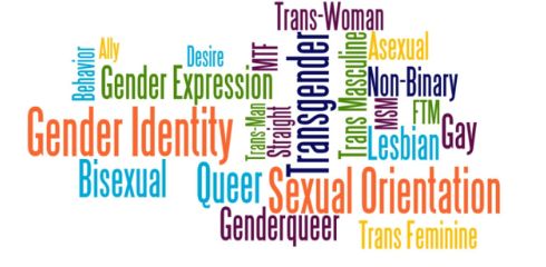 Why is Sexual Orientation and Gender Identity (SOGI) So Complex?
