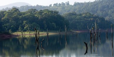 The Periyar Lake in Pariyar National Park in Kerala
