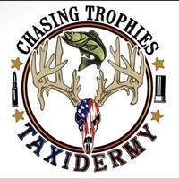 Chasing trophy taxidermy 