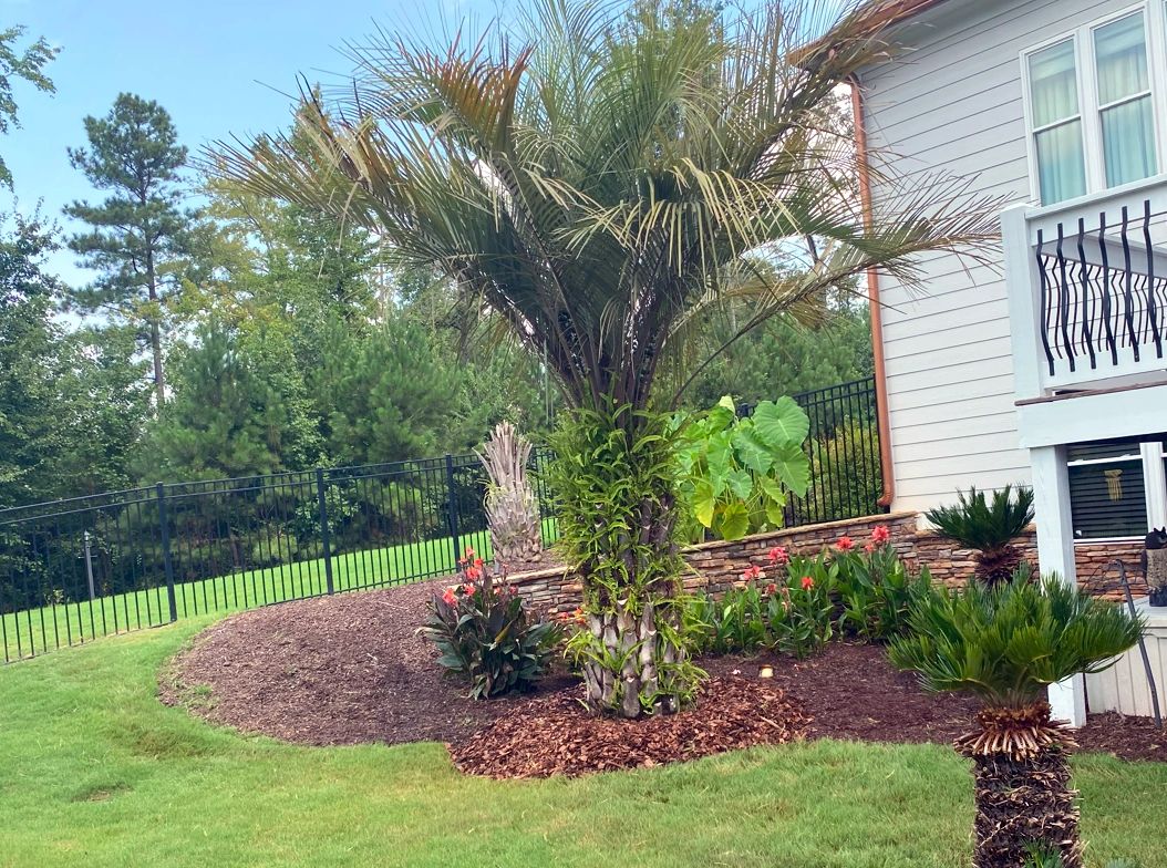 Pool Palms Monroe GA