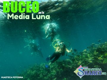 Buceo en las majestuosas aguas cristalinas de la Media Luna sobre un cráter volcánico 