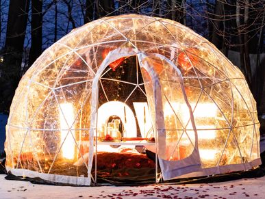 IGLOOS & BUBBLE TENTS