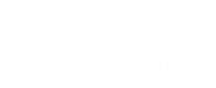 Little Explorers Nursery