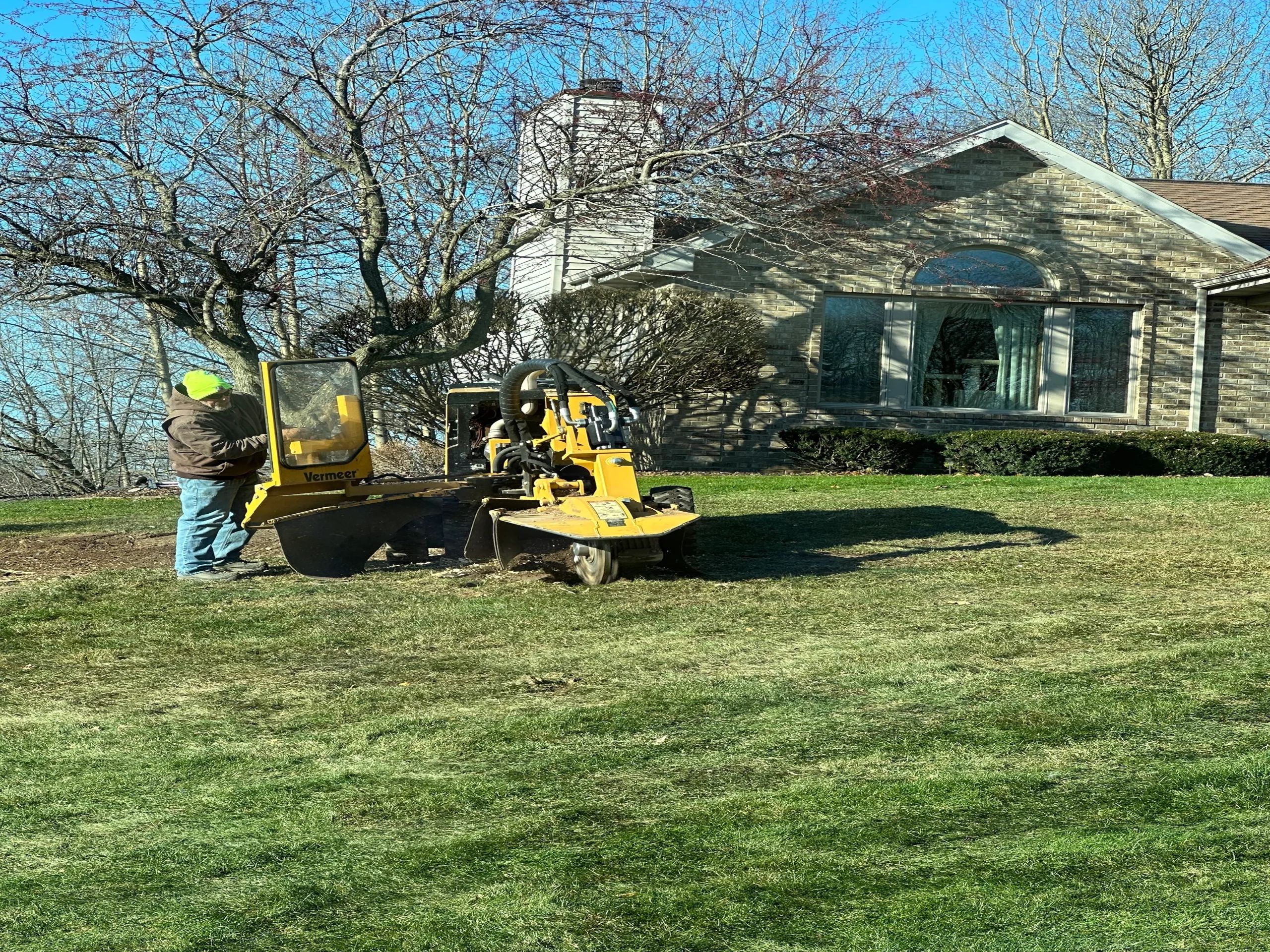 Expert Stump Grinding Removal Services