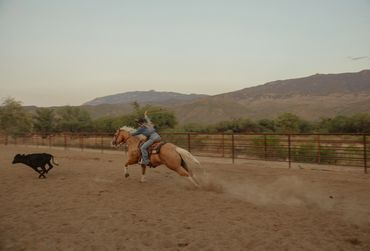 Roping Photographer | Arizona Roping Photographer | Western Photographer | Rylin Noelle Photography