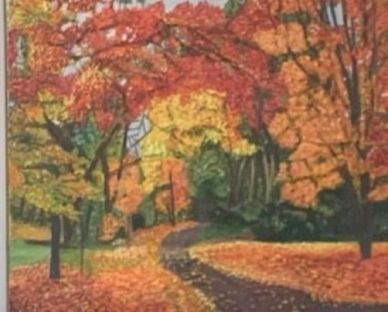 Pathway through colorful autumn trees.