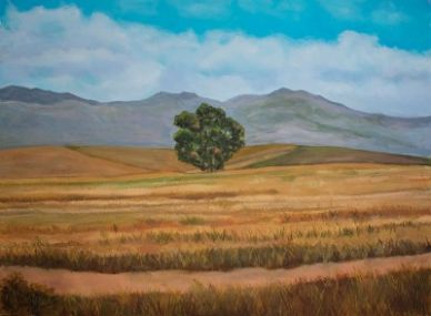 A solitary tree in a vast field under a blue sky.