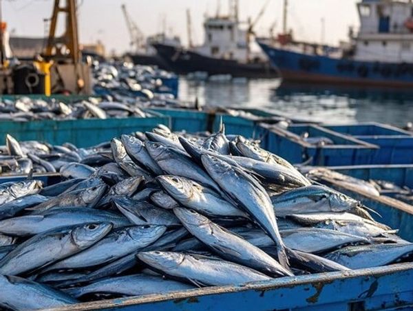 Fresh fish in a bin with ships in the background
