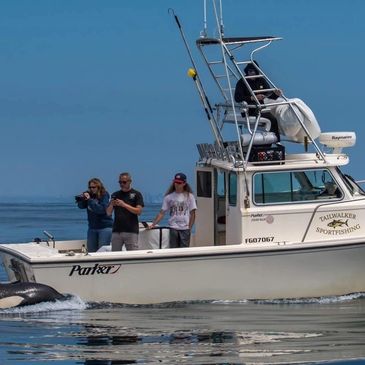 This is a picture of our boat "The Tailwalker".  It's a 31' Parker custom built for Private Charter