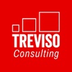 Treviso Consulting