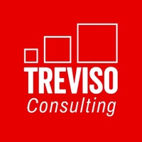Treviso Consulting