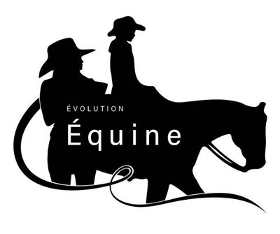 Silhouettes de cavaliers avec cheval, texte "Évolution Équine".