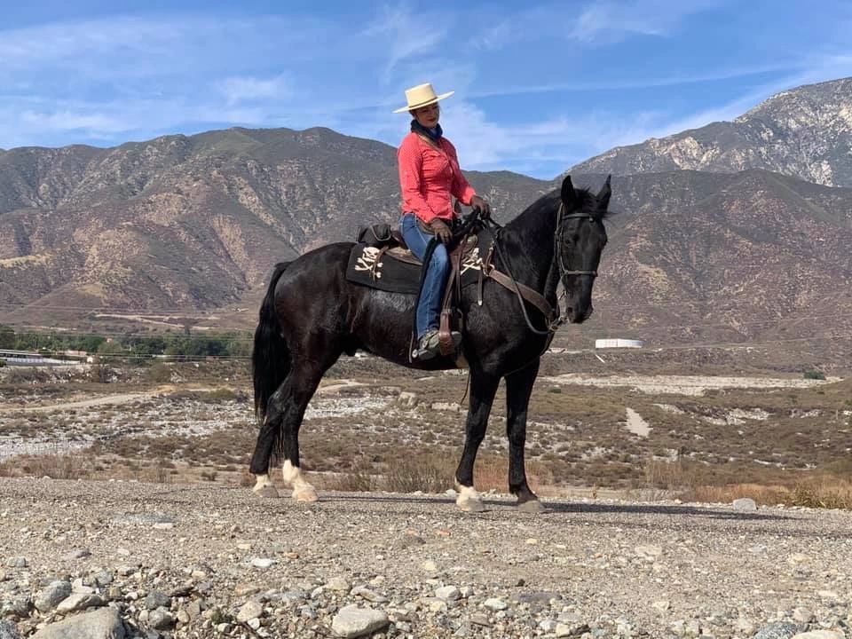 Alma Riding Club Alta Loma Riding Club