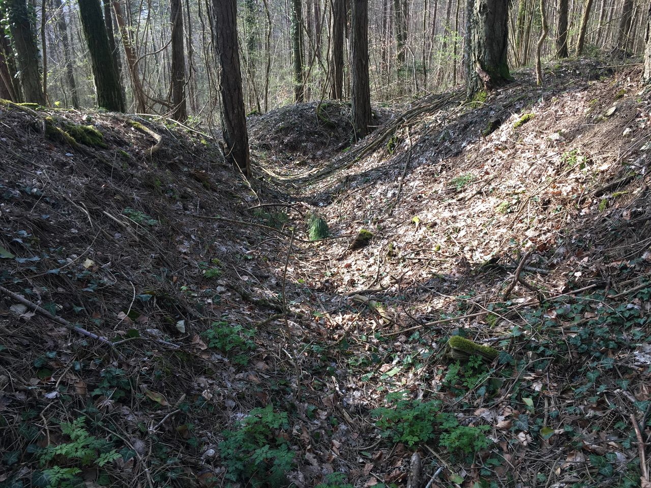 Trench in the hills outside Verdun, one of many remnants of the horrific trench warfare of World War I that still surround the city.