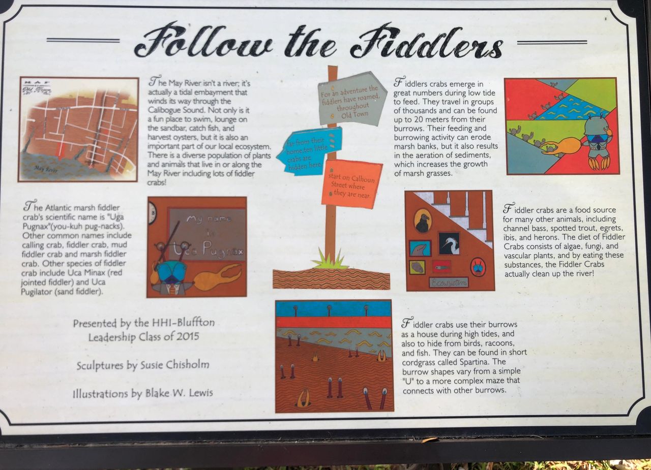 Story of fiddler crabs in the historic Low Country town of Bluffton, South Carolina, between Hilton Head and Savannah.