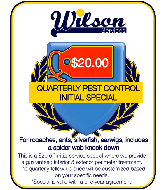 Pest Control Quarterly Pest Control
