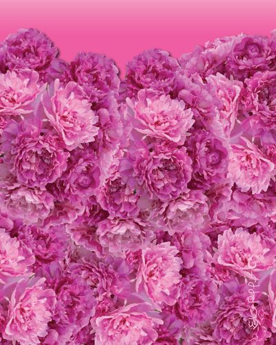 ELIOT RAFFIT - Digital Artist Fine Art Painting Modern Indelible Classics Defining Visual Culture