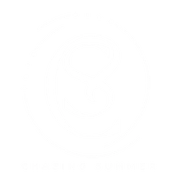 Chasing Summer
